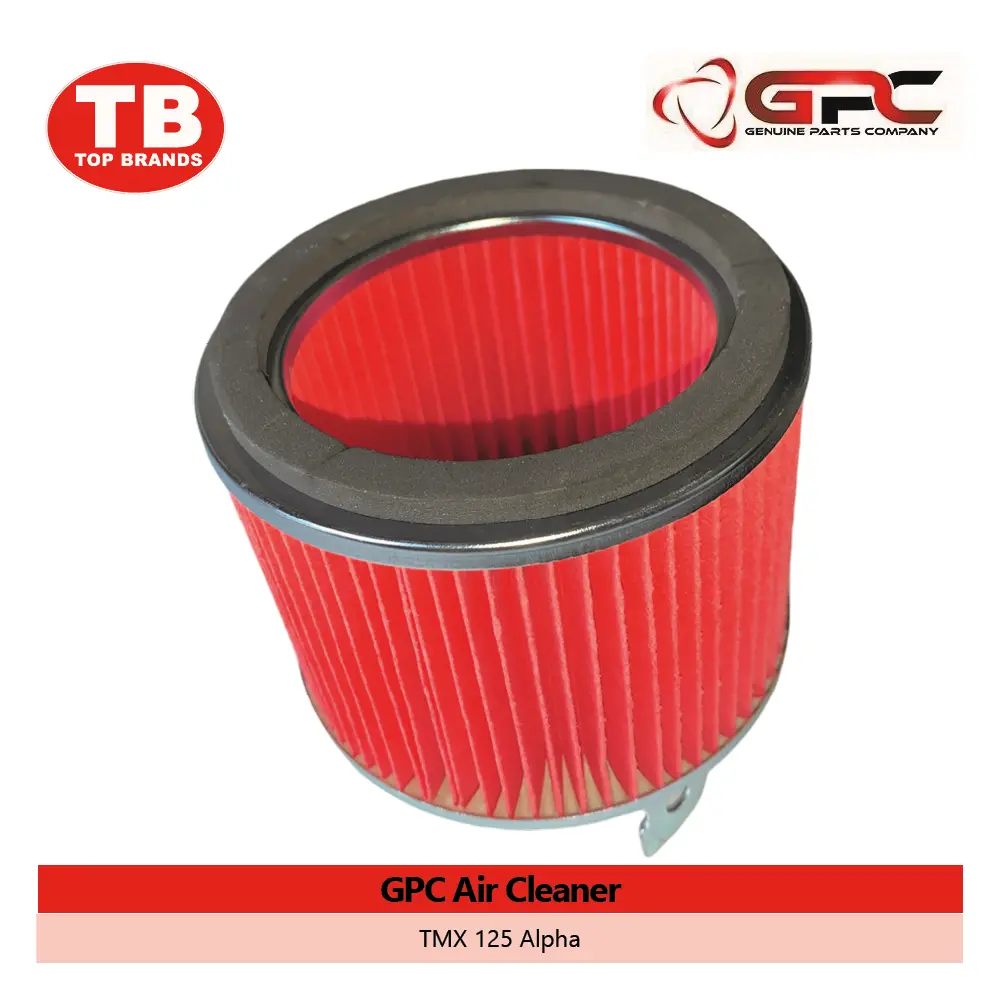 AIR CLEANER / TMX125 ALPHA / GPC - LZD 
